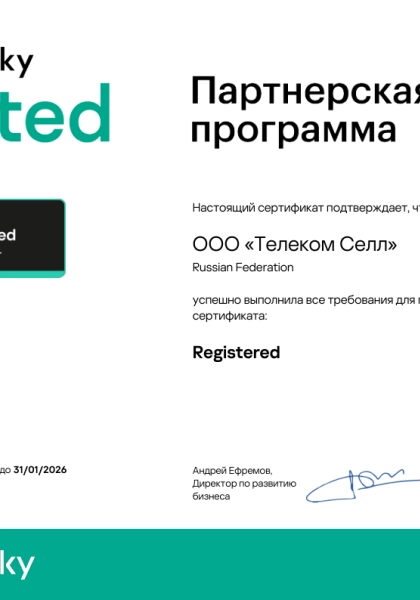 Kaspersky Partner Certificate